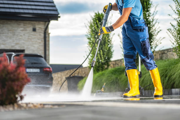 Best Sidewalk and Walkway Cleaning  in Alamosa East, CO